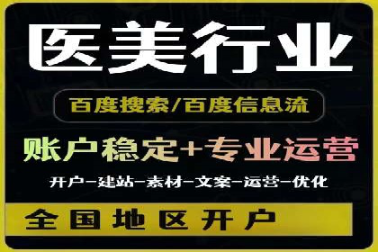 谷歌SEM案例研究：数据分析与效果评估